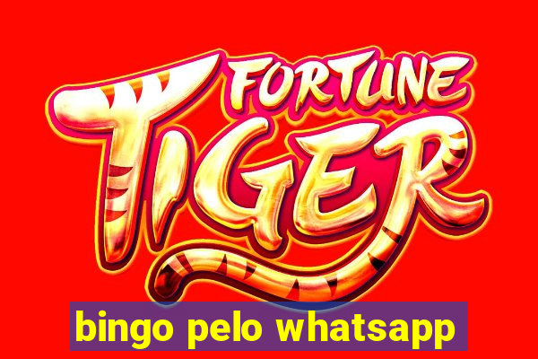 bingo pelo whatsapp